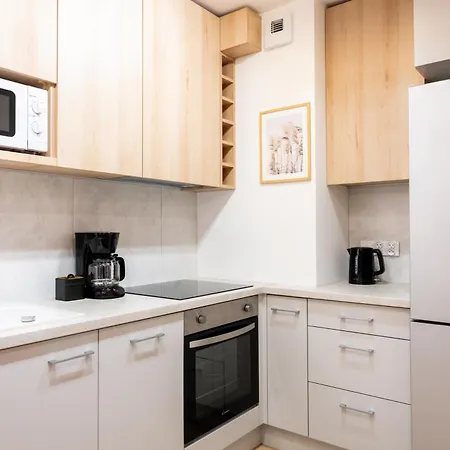 Native Apartments Kosciuszki 39/5 Kraków Zewnętrze zdjęcie